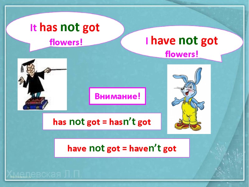 It has not got  flowers! I have not got flowers! Внимание! has not